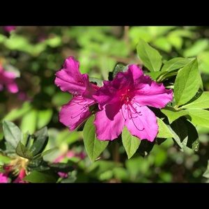 Meet your Posher, Madison